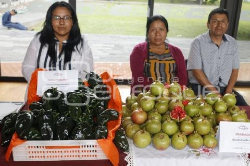 CHILE EN NOGADA . CATÁLOGO