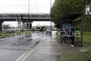 RUTA . LÍNEA 4