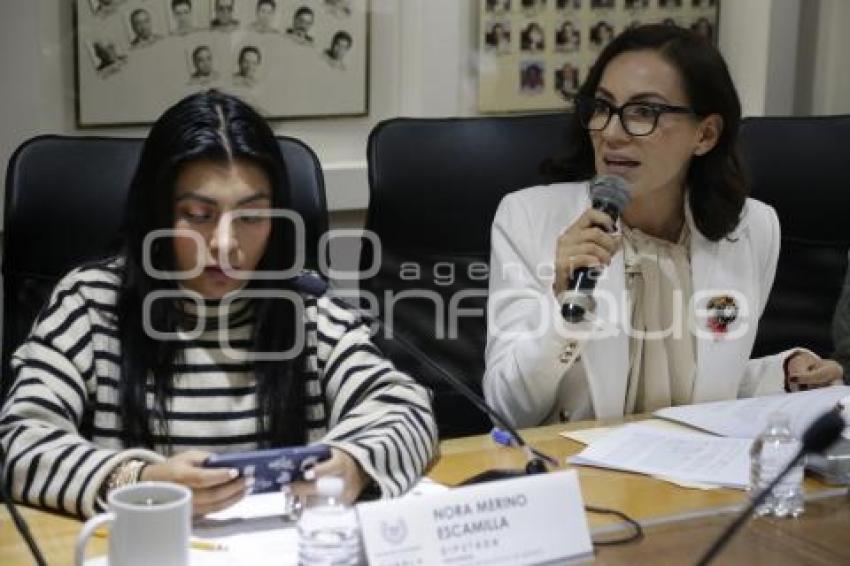 CONGRESO . COMISIONES UNIDAS