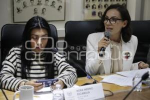 CONGRESO . COMISIONES UNIDAS
