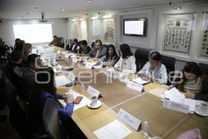 CONGRESO . COMISIONES UNIDAS