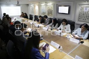 CONGRESO . COMISIONES UNIDAS