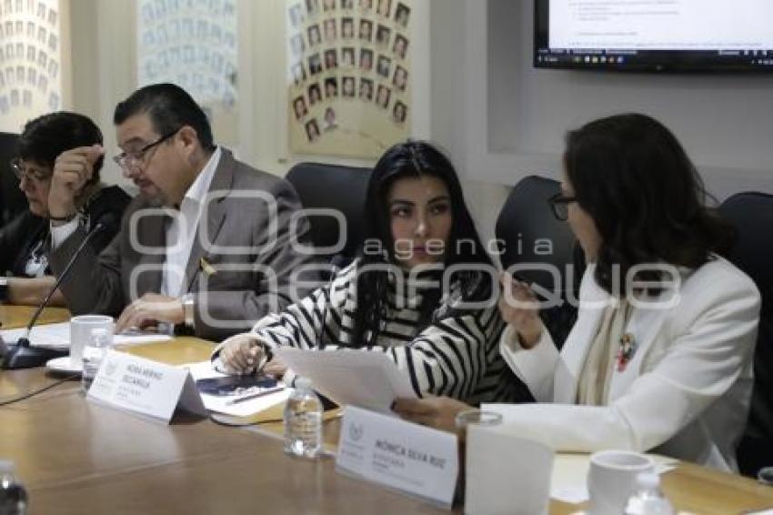 CONGRESO . COMISIONES UNIDAS