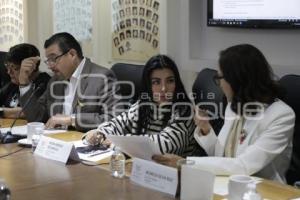 CONGRESO . COMISIONES UNIDAS