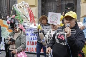 CONGRESO . PROTESTA PIROTECNIA