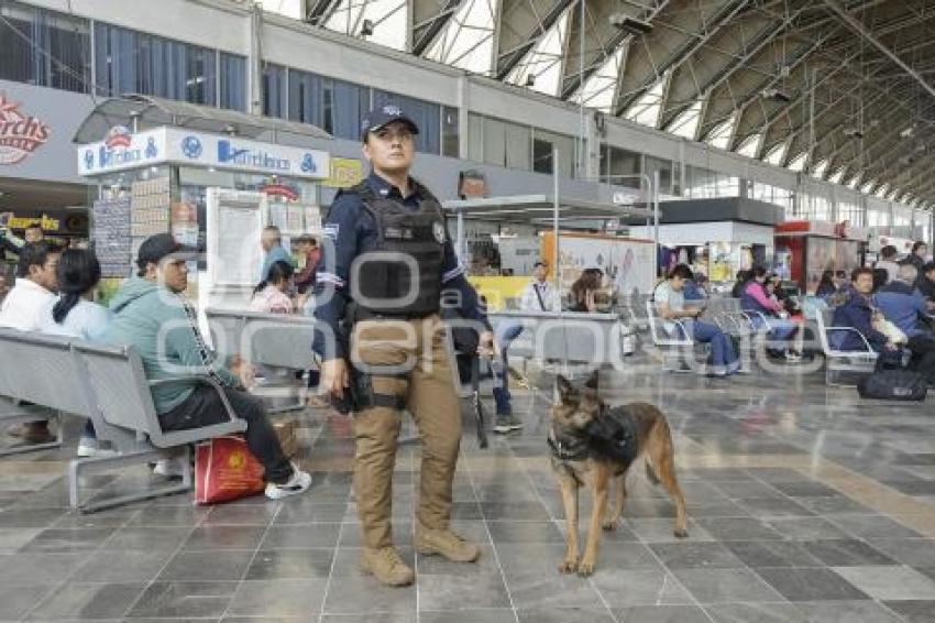 AYUNTAMIENTO . OPERATIVO PERIODO VACACIONAL
