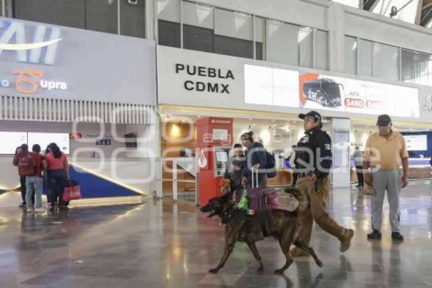 AYUNTAMIENTO . OPERATIVO PERIODO VACACIONAL