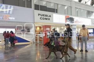 AYUNTAMIENTO . OPERATIVO PERIODO VACACIONAL