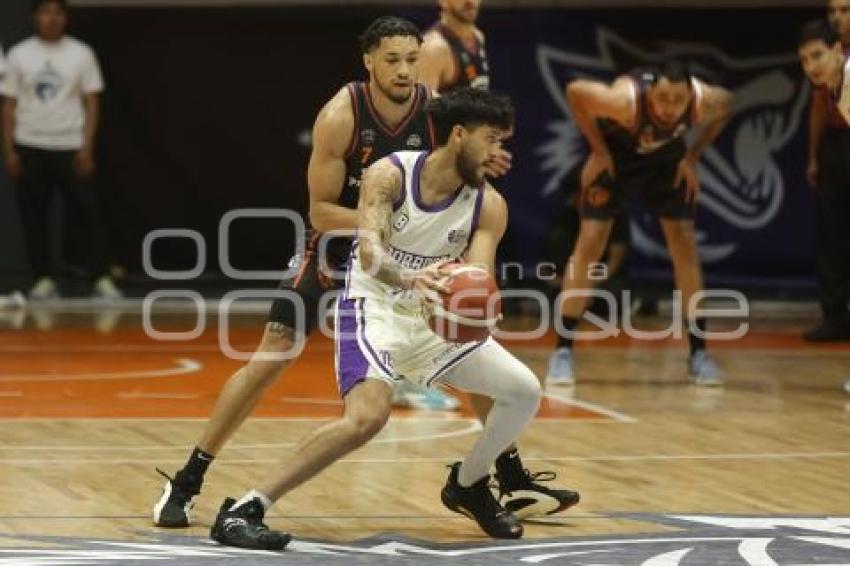 BALONCESTO . LOBOS VS DORADOS