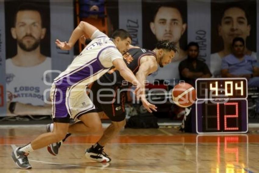 BALONCESTO . LOBOS VS DORADOS