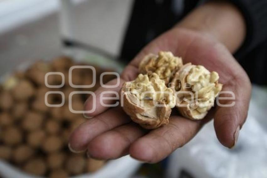 TLAXCALA . NUEZ DE CASTILLA