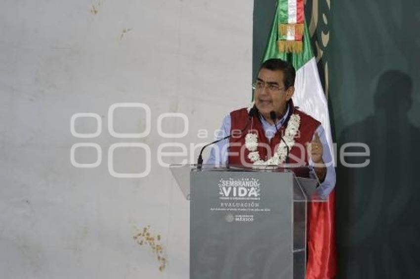 SERGIO SALOMÓN CÉSPEDES