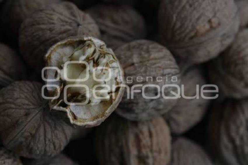 TLAXCALA . NUEZ DE CASTILLA