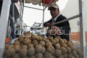 TLAXCALA . NUEZ DE CASTILLA