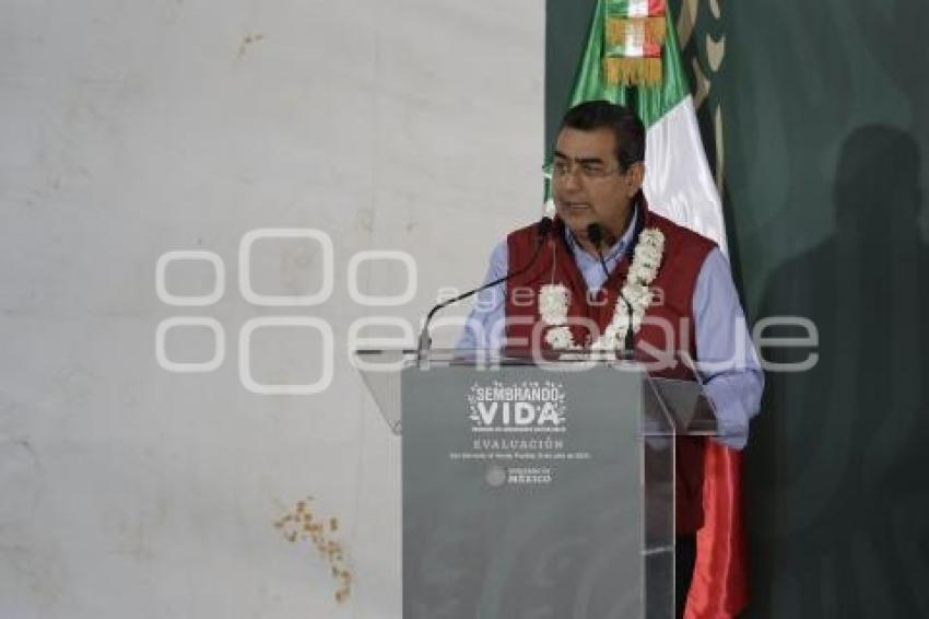SERGIO SALOMÓN CÉSPEDES