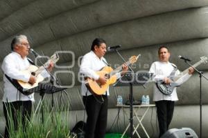 TLAXCALA . DOMINGOS CULTURALES