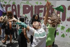 CONGRESO . DESPENALIZACIÓN DEL ABORTO