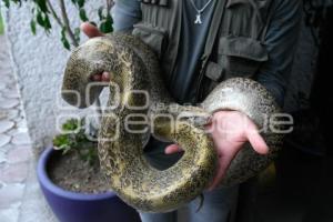 TLAXCALA . DÍA MUNDIAL SERPIENTE