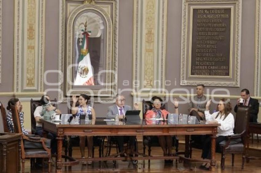 CONGRESO . COMISIÓN PERMANENTE