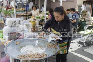 FERIA VIRGEN DEL CARMEN