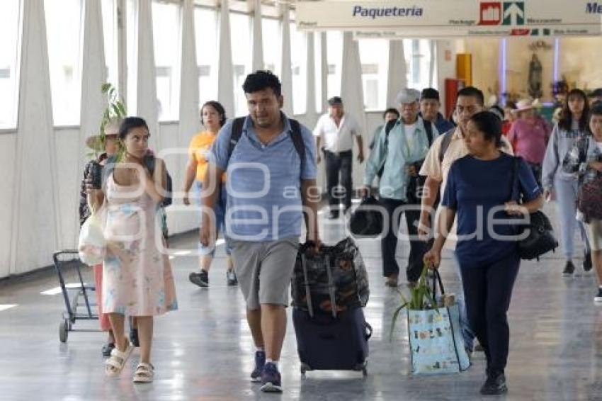 CAPU . VACACIONES DE VERANO