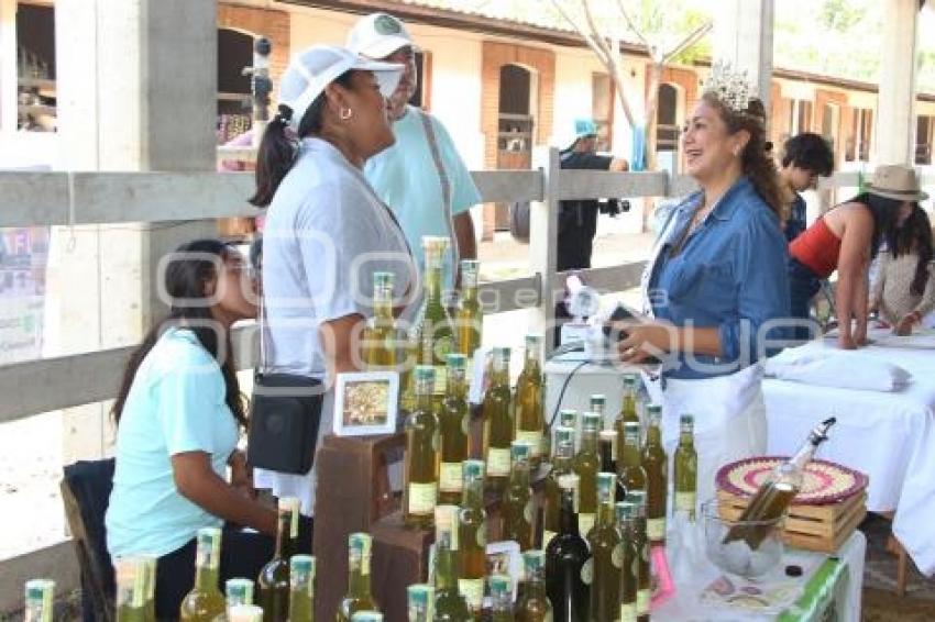 ATLIXCO . REINAS POR CUACOLANDIA