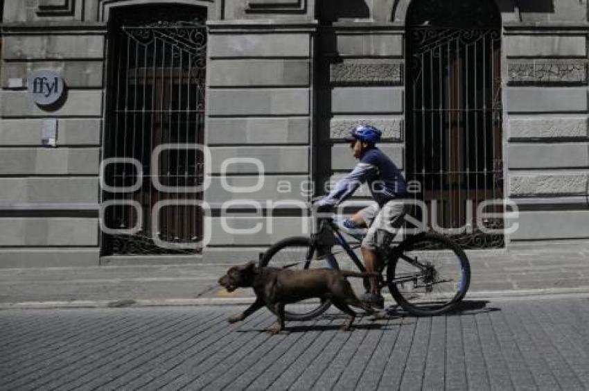 GRAN PASEO