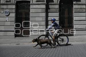 GRAN PASEO
