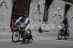 GRAN PASEO