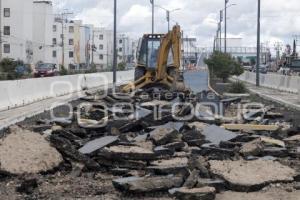 PERIFÉRICO ECOLÓGICO . CICLOVÍA  