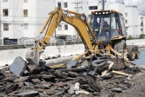 PERIFÉRICO ECOLÓGICO . CICLOVÍA  