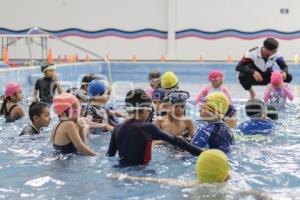 AYUNTAMIENTO . CURSOS DE VERANO