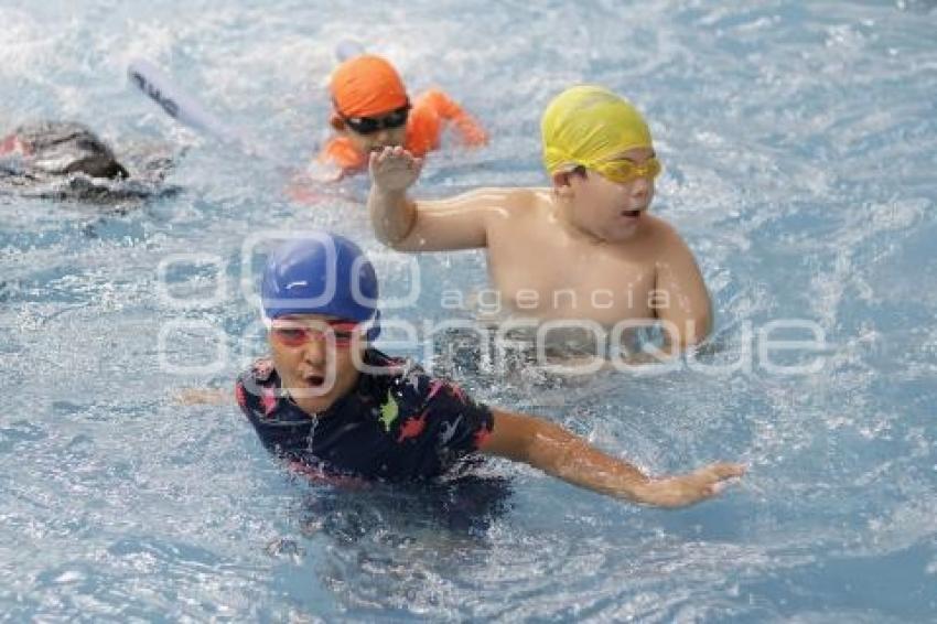 AYUNTAMIENTO . CURSOS DE VERANO
