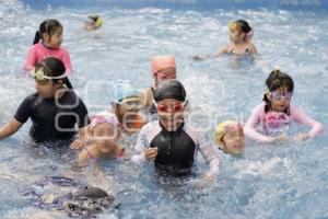 AYUNTAMIENTO . CURSOS DE VERANO