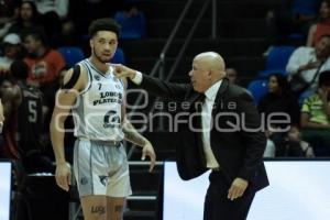 LOBOS PLATEADOS