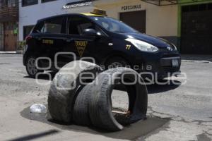 BACHES