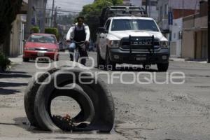 BACHES
