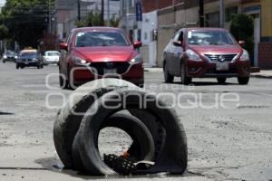 BACHES