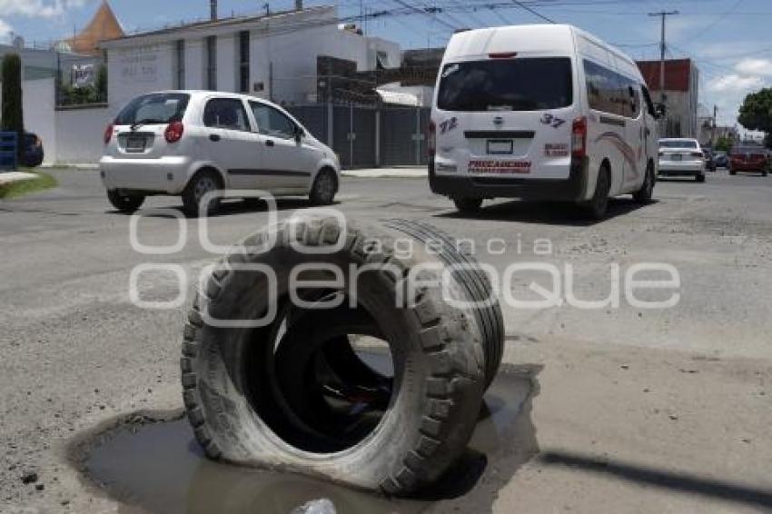 BACHES