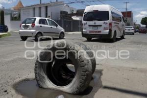 BACHES