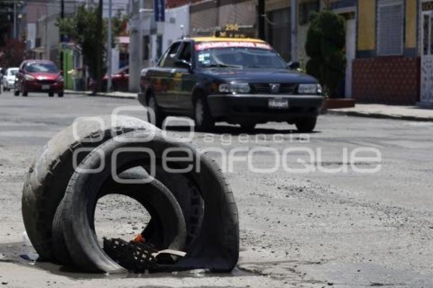 BACHES