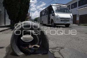 BACHES