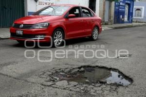 BACHES