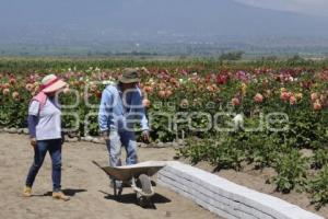 TLAXCALA . SANTUARIO DE DALIAS