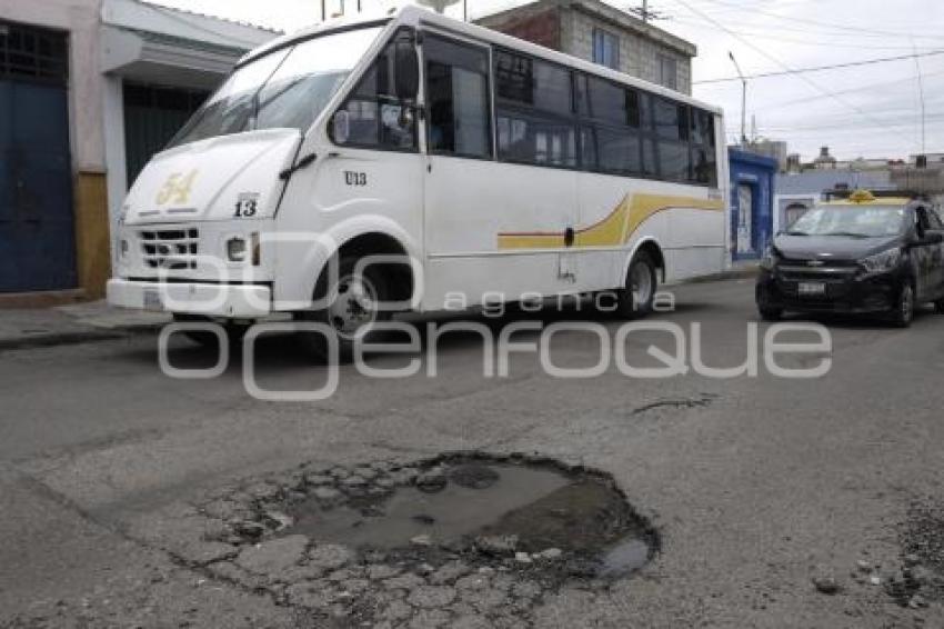 BACHES