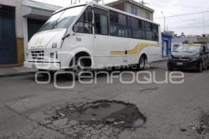 BACHES