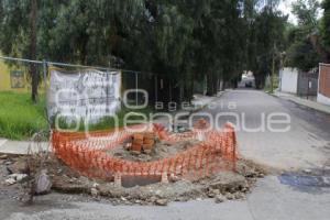 TLAXCALA . AVENIDA CARVAJAL