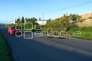 TLAXCALA . BACHES