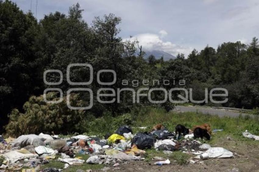 BASURERO CLANDESTINO