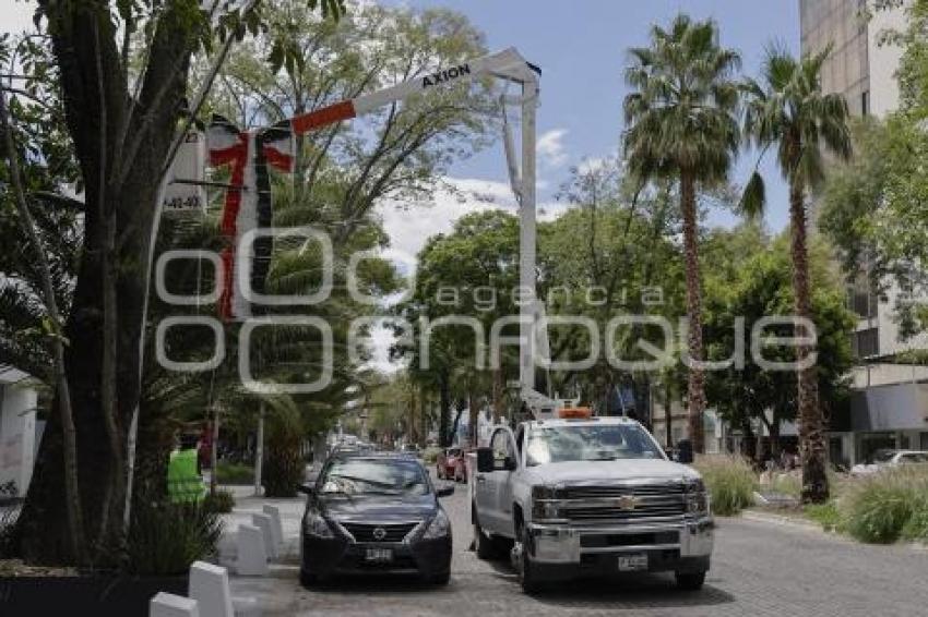 ADORNOS PATRIOS